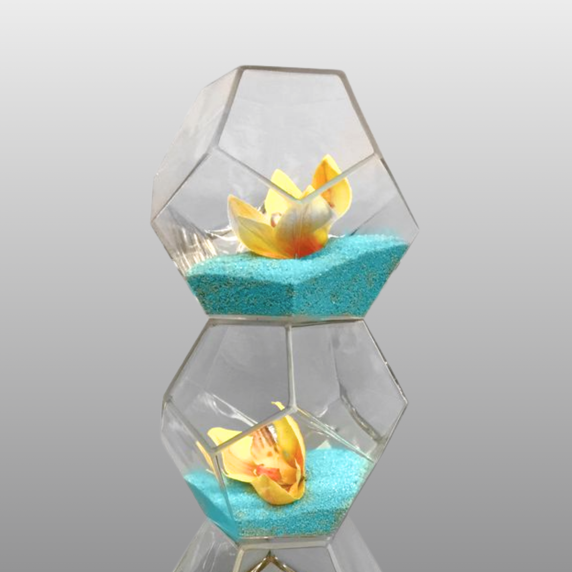 Jacobson - Wholesale Vase - 6.25"D Geometric Terrarium Beckham Bowl - Clear Glass Vase4