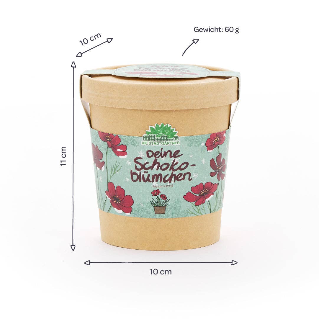 TDJ Stadtgärtner GmbH – Engroshandel Plantefrø – Chokoladeblomster i kop – dyrkningssæt4