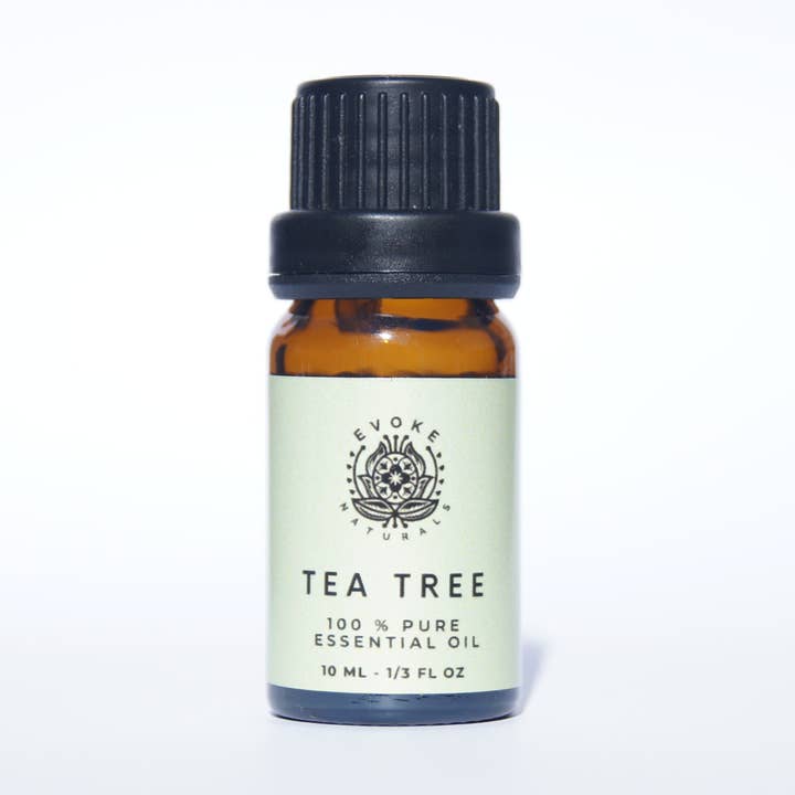 HUILE ESSENTIELLE D'ARBRE À THÉ 100% PURE pour la vente par Evoke Naturals