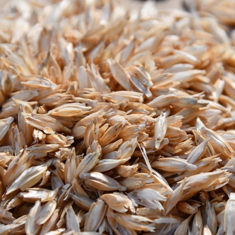 ADAL TERRA - Wholesale Cat Litter - Organic Small Spelt Balls, Dust-Free, 1.5 liters0