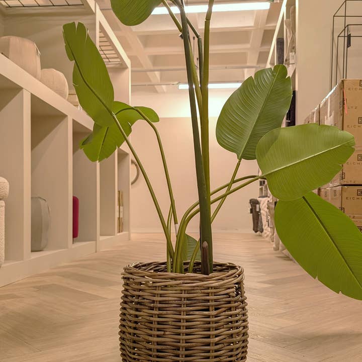 Panama Kubu Rotan Mand voor wholesale door DUA