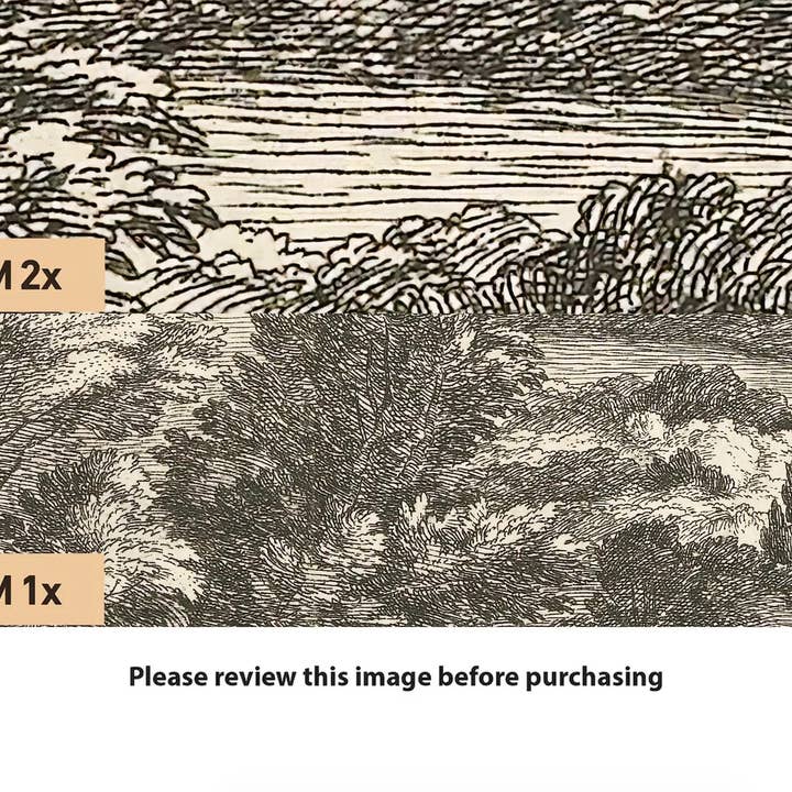 SimurgWallArts - Wholesale Wallpaper - Rustic Forest Wallpaper Mural: Vintage Peel and Stick Mural6