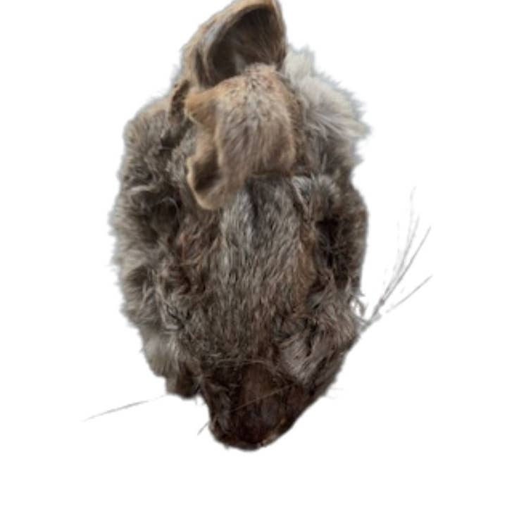 Bear's Bites, LLC - Wholesale Pet Treats - Dog - Rabbit head dog chews