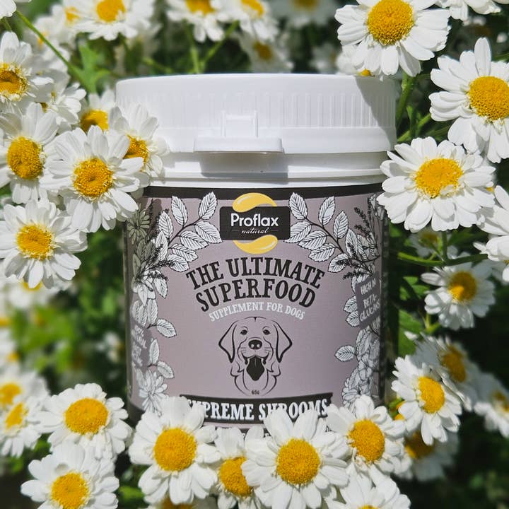 Proflax Superfood Supplements – wholesale Pet supplement – Dog – Proflax Supreme Shrooms Supplement for Dogs4