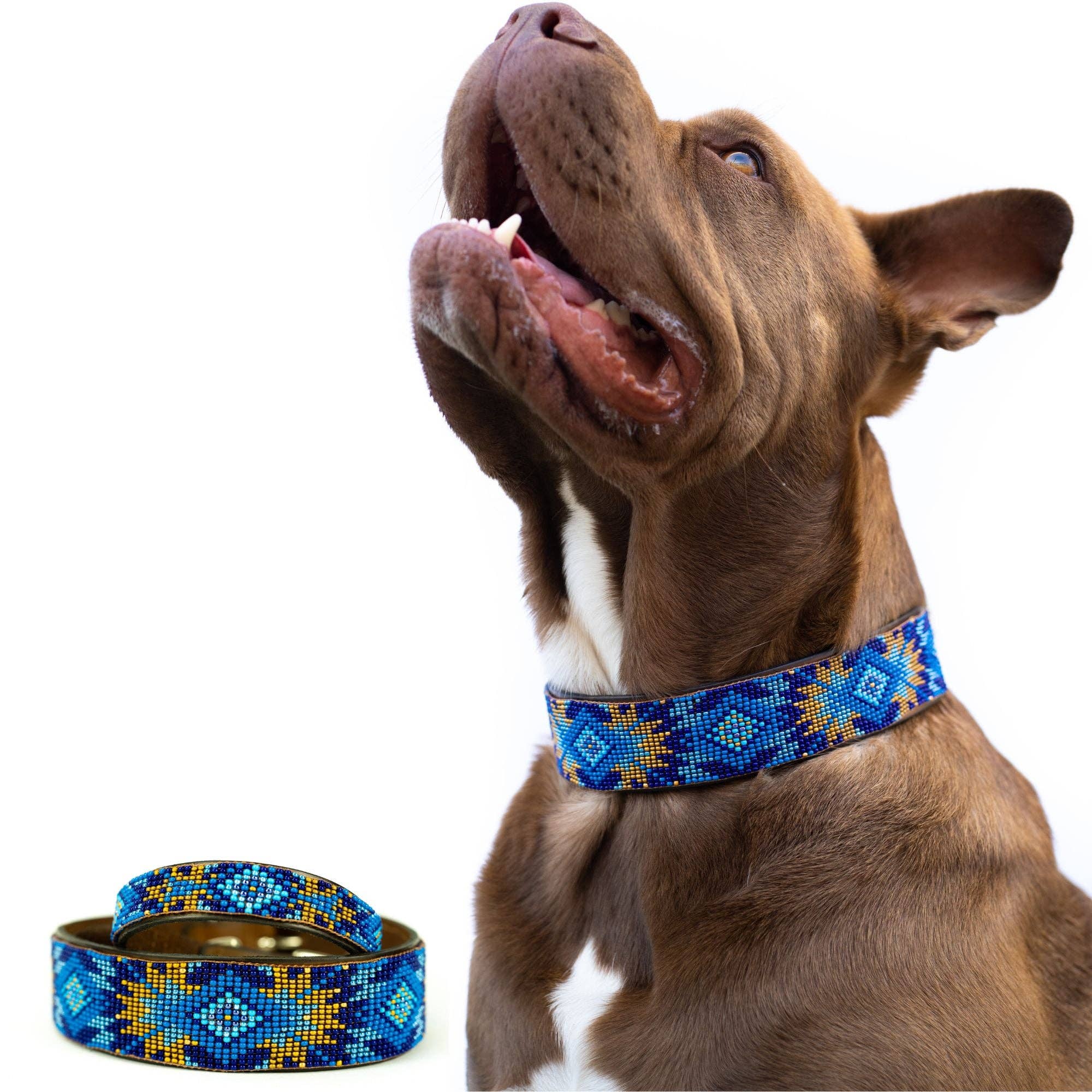 Sambboho - Wholesale Pet Collar - Dog - Maldives Sambboho Dog Collar (Glam Collection)3