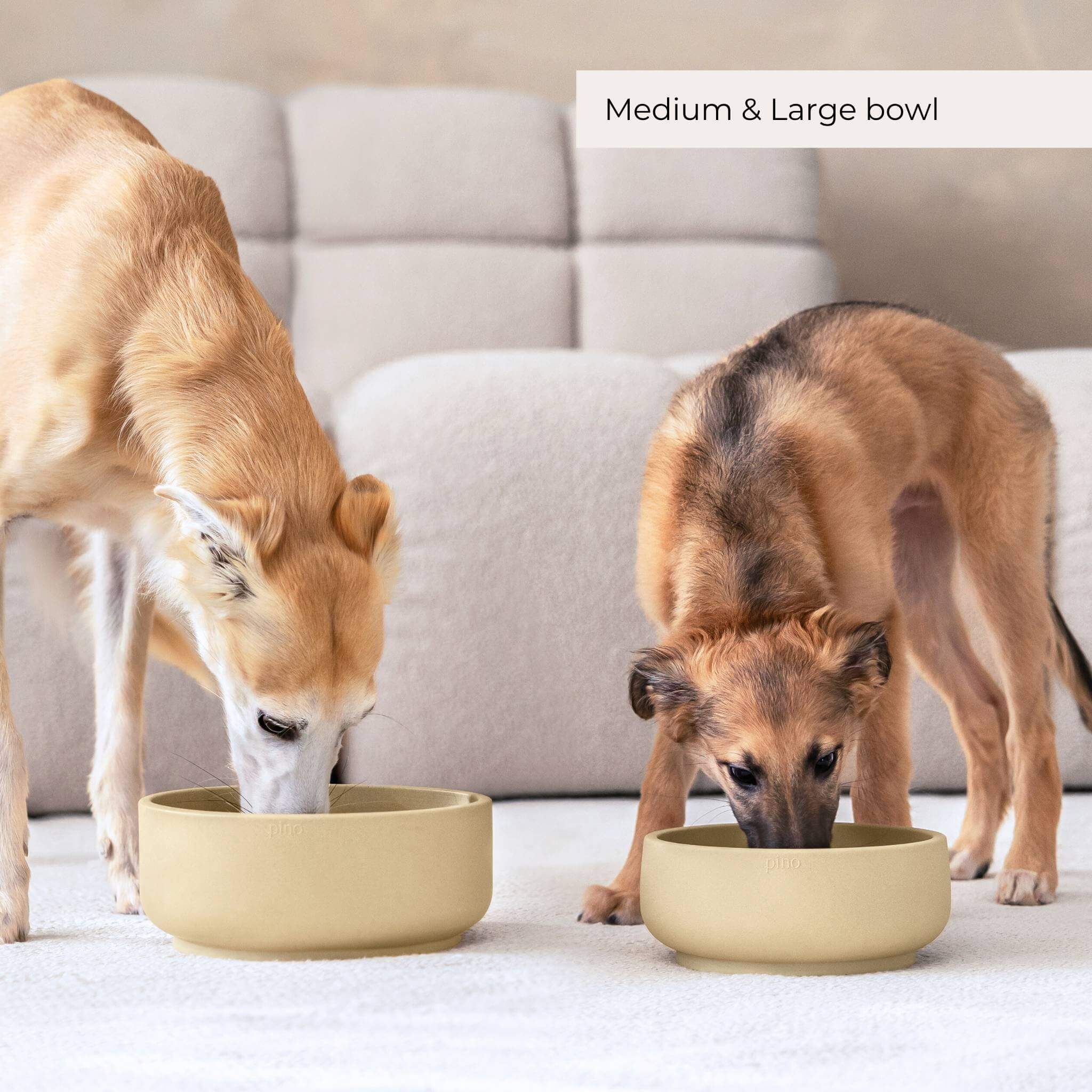 PINO - Wholesale Pet Bowl - Dog - Slow Feeder Bowls - 2024 Collection8