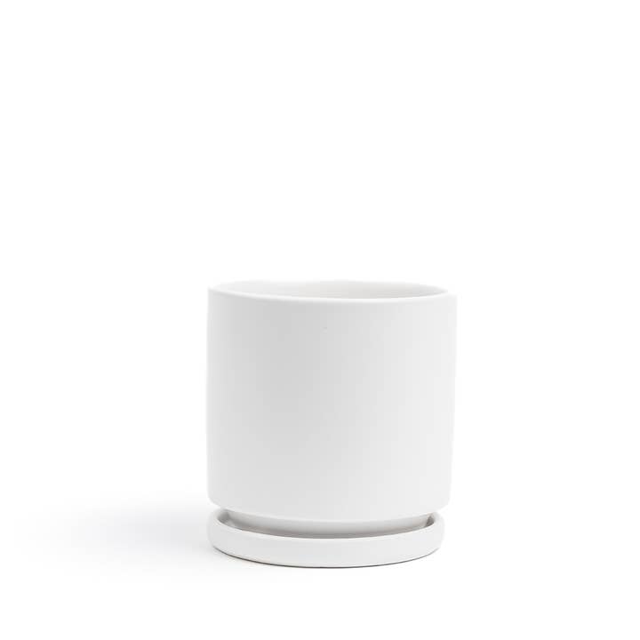 Momma Pots - Wholesale Plant Pot - 10.5" Gemstone Cylinder Pots with Water Saucers24