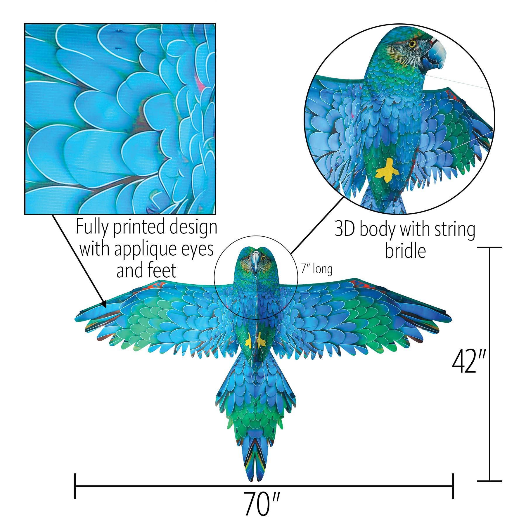 In the Breeze, LLC. - Vente Cerf-volant - Cerf-volant perroquet bleu 3D4