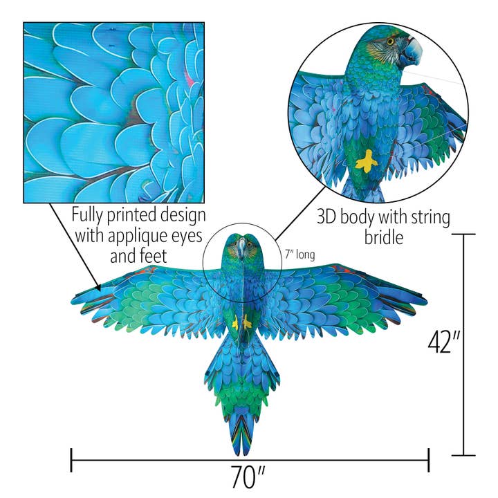 In the Breeze, LLC. - Vente Cerf-volant - Cerf-volant perroquet bleu 3D4