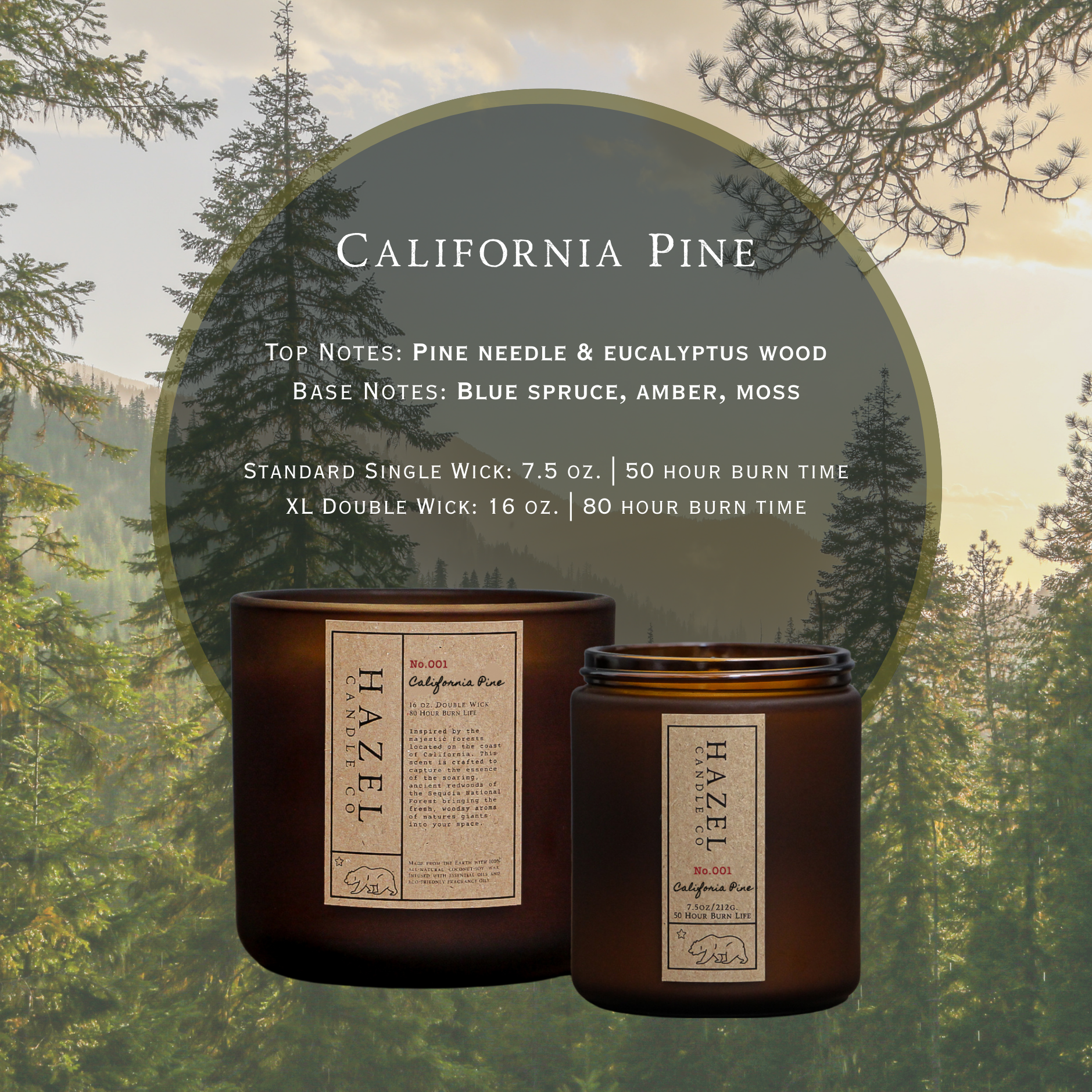 Hazel Candle Co. – Großhandel Kerze im Glas / gefüllte Kerze – Kalifornische Kiefer duftende Kokosnuss-Sojawachskerze, ungiftig1