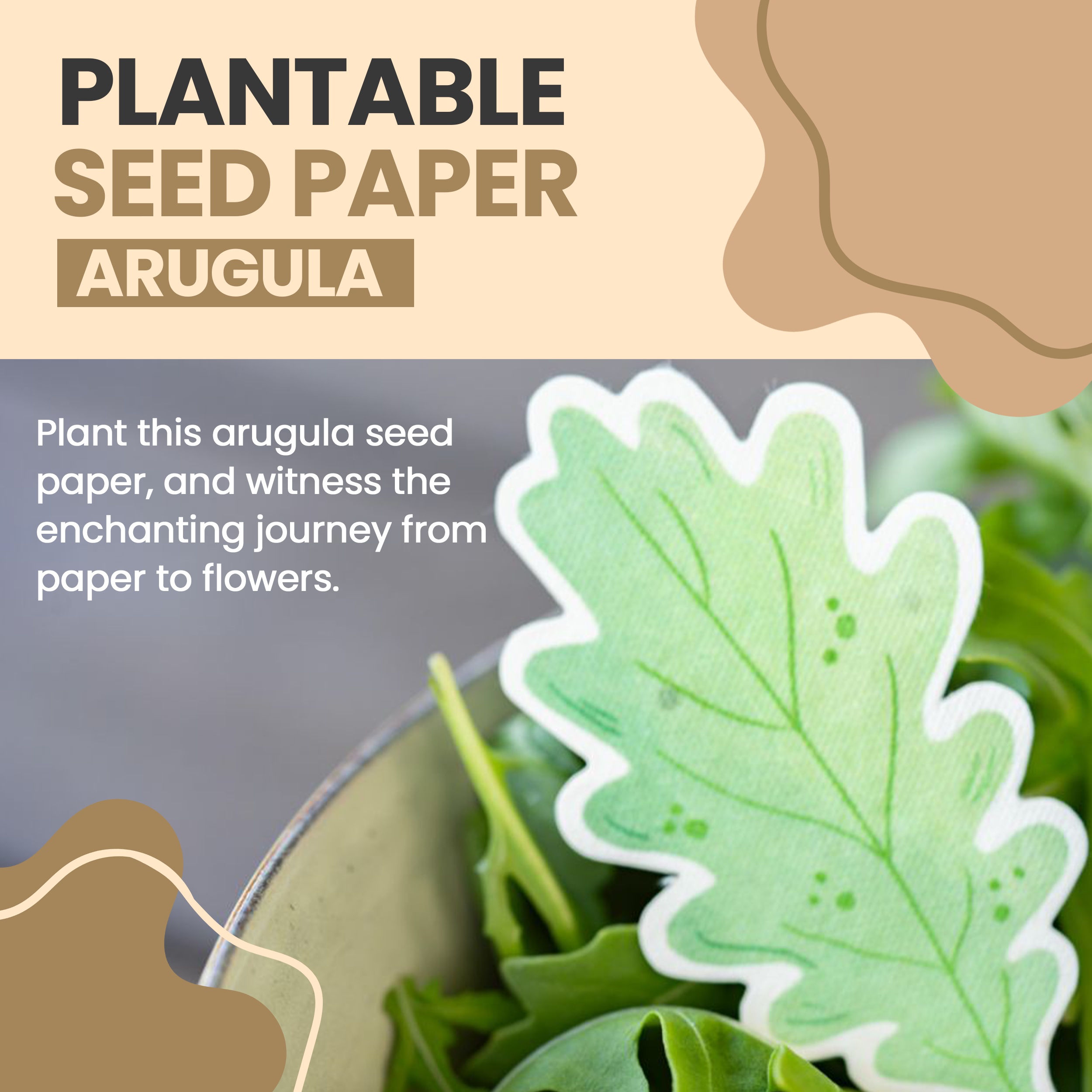 ToyBoxTown – Großhandel Pflanzensamen – Samenpapier zum Anpflanzen von Rucola, 10 Stück3