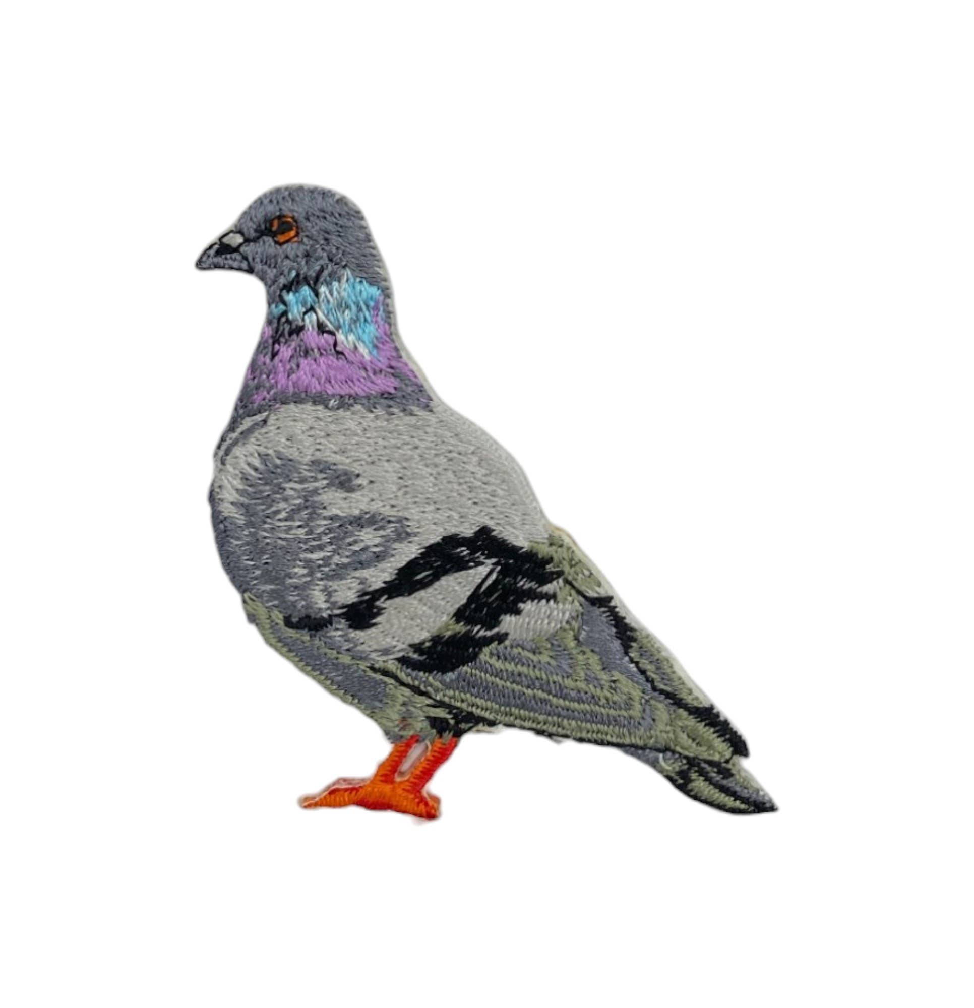 Wholesale Applique - Wholesale Patch - Rock Dove Pigeon, Birds, Iron on Patch