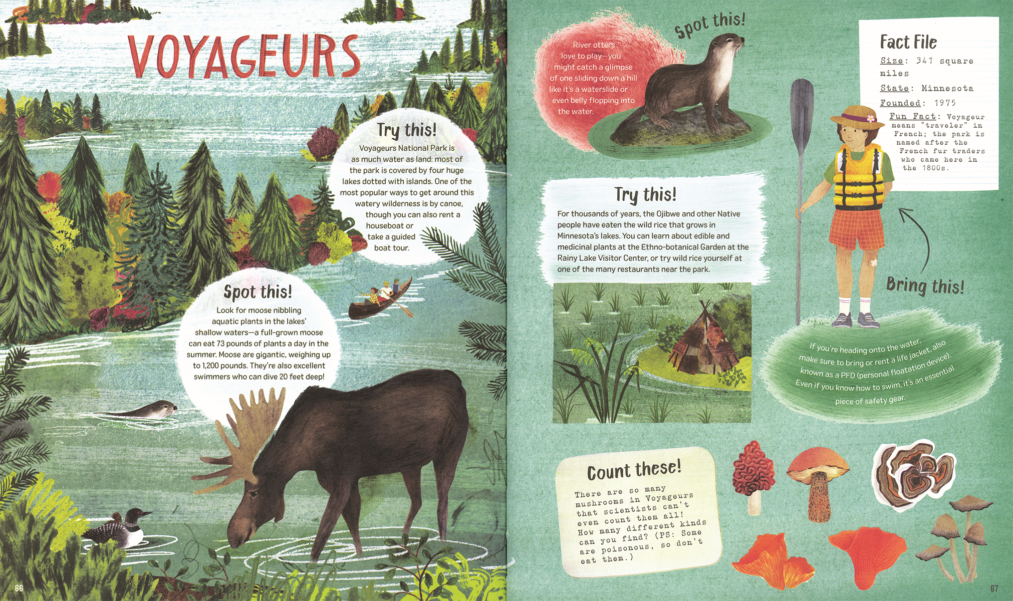 EDC Publishing - Wholesale Early Reader Book (6-8) - Explore! America's National Parks5