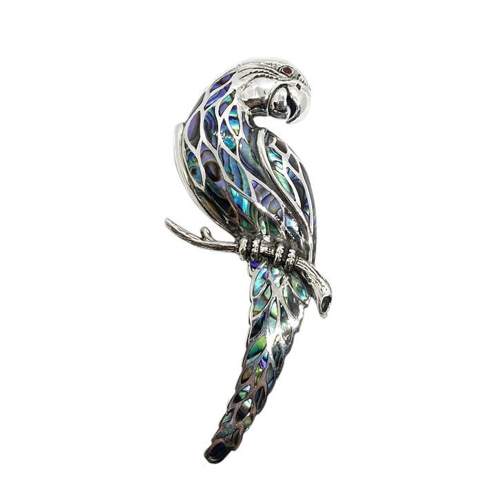 Broche con forma de loro en forma de concha de Paua y plata de ley para venta al por mayor de Anna King Designs
