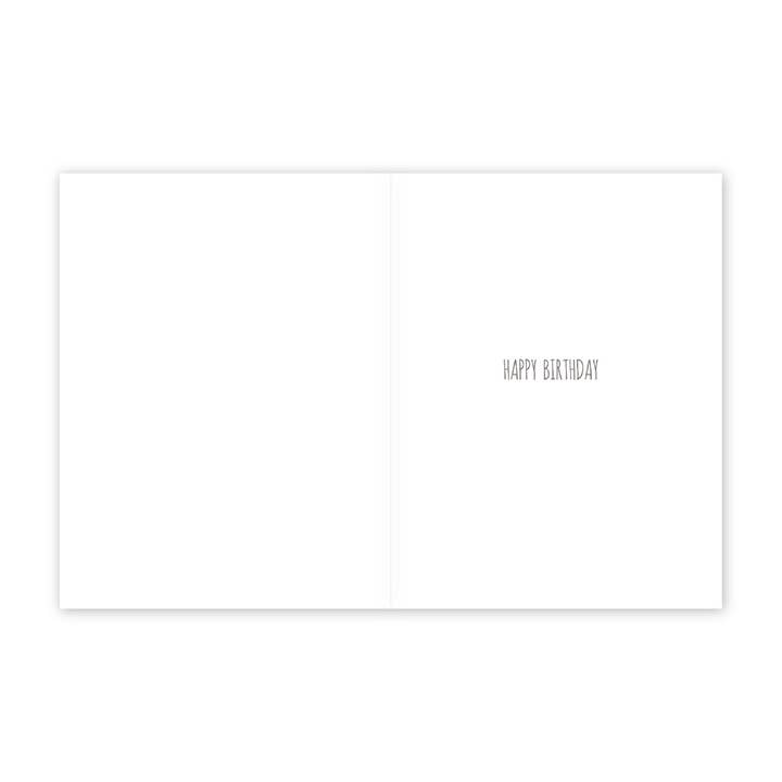 Modern Printed Matter – wholesale Birthday card – Donkey Pinata Birthday Card