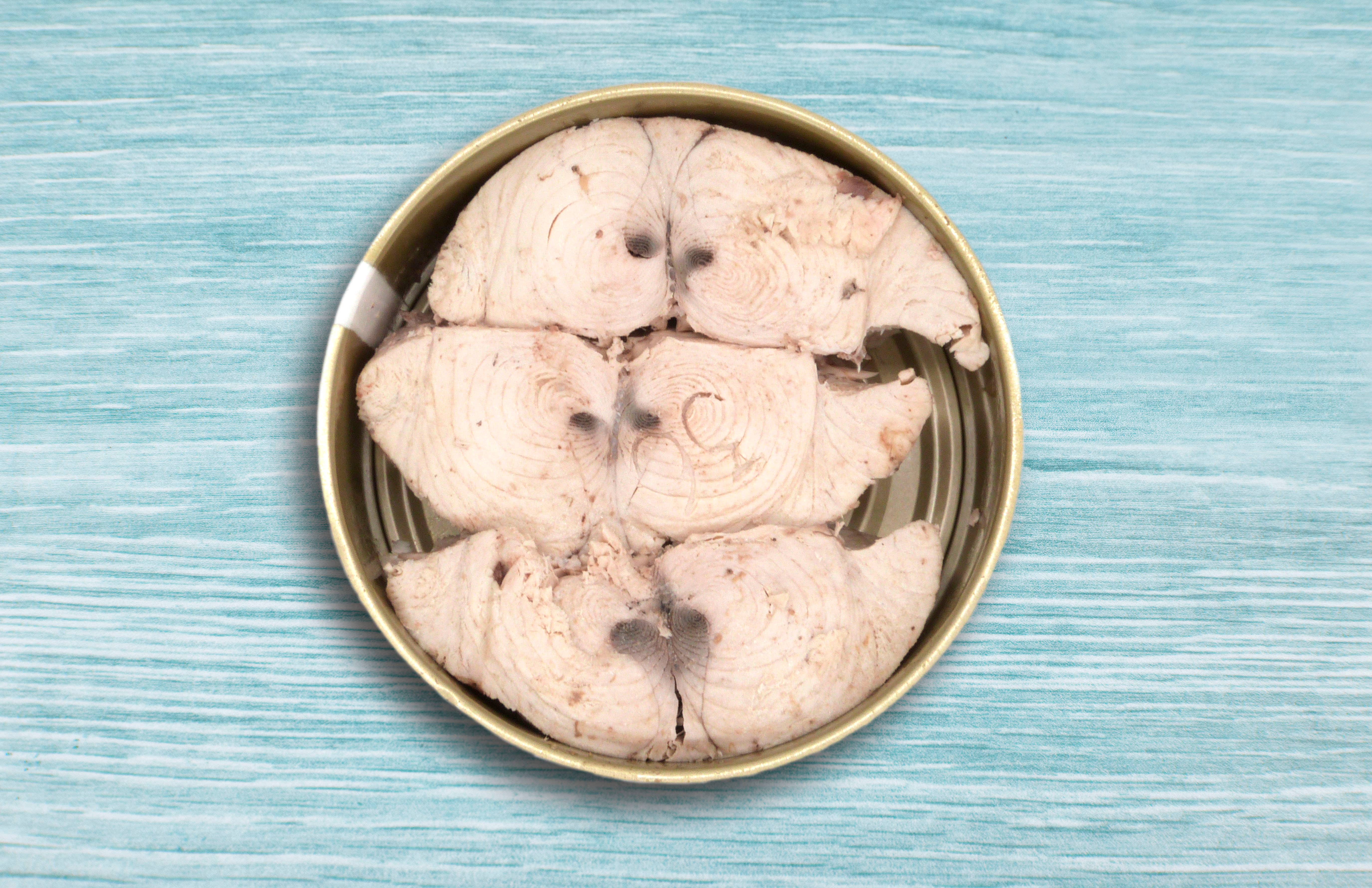 Zallo - Wholesale Tinned Fish - Northern Bonito in olive oil 1800g2