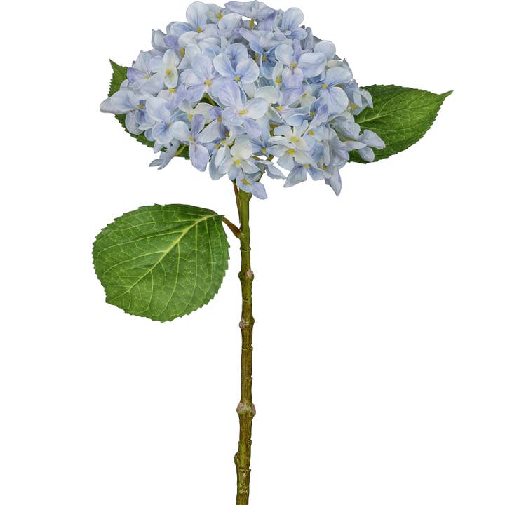Hortensia, 48 cm, ljusblå för wholesale av GASPER GmbH