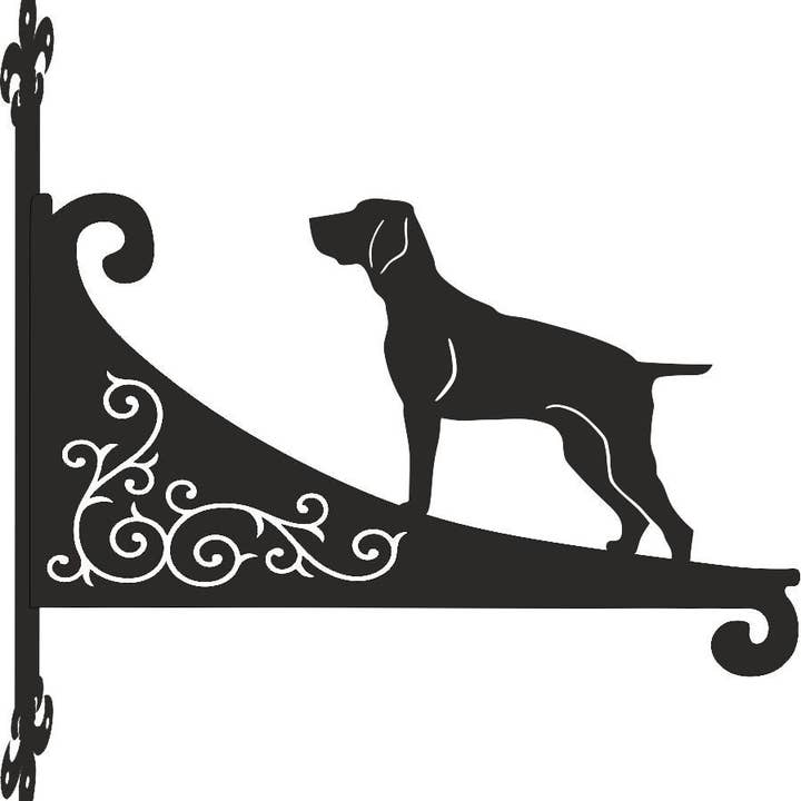 Staffa sospesa Braque De Auvergne per la vendita all'ingrosso da parte di Steel Images