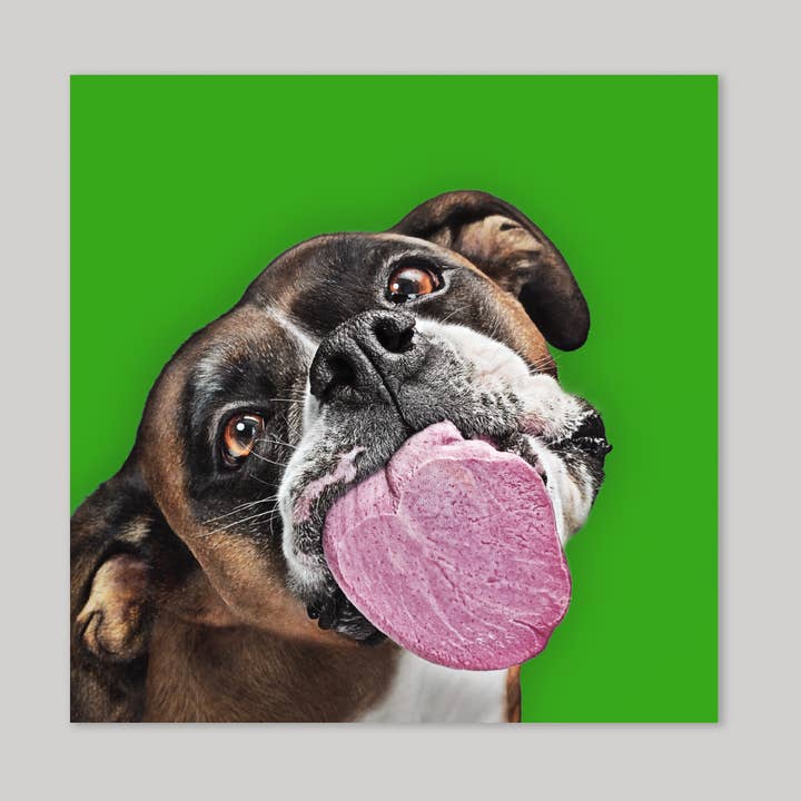 Biglietto di auguri SWALK per la vendita all'ingrosso da parte di Icon