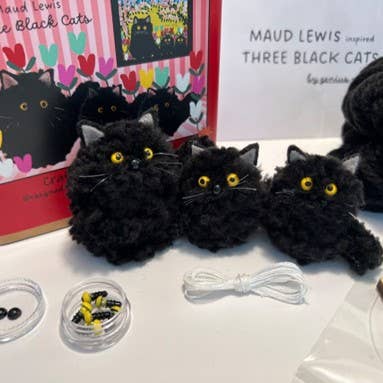 Genius Premium Craft - Vente Kit de bricolage - Kit de bricolage en fibre inspiré par Maud Lewis4