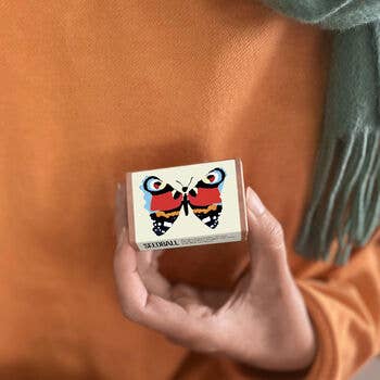 Seedball – wholesale Plant seeds – Wildlife Collection Seed Boxes3