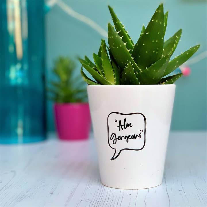 Vaso in ceramica 'Aloe Gorgeous' per la vendita all'ingrosso da parte di Hendog Designs