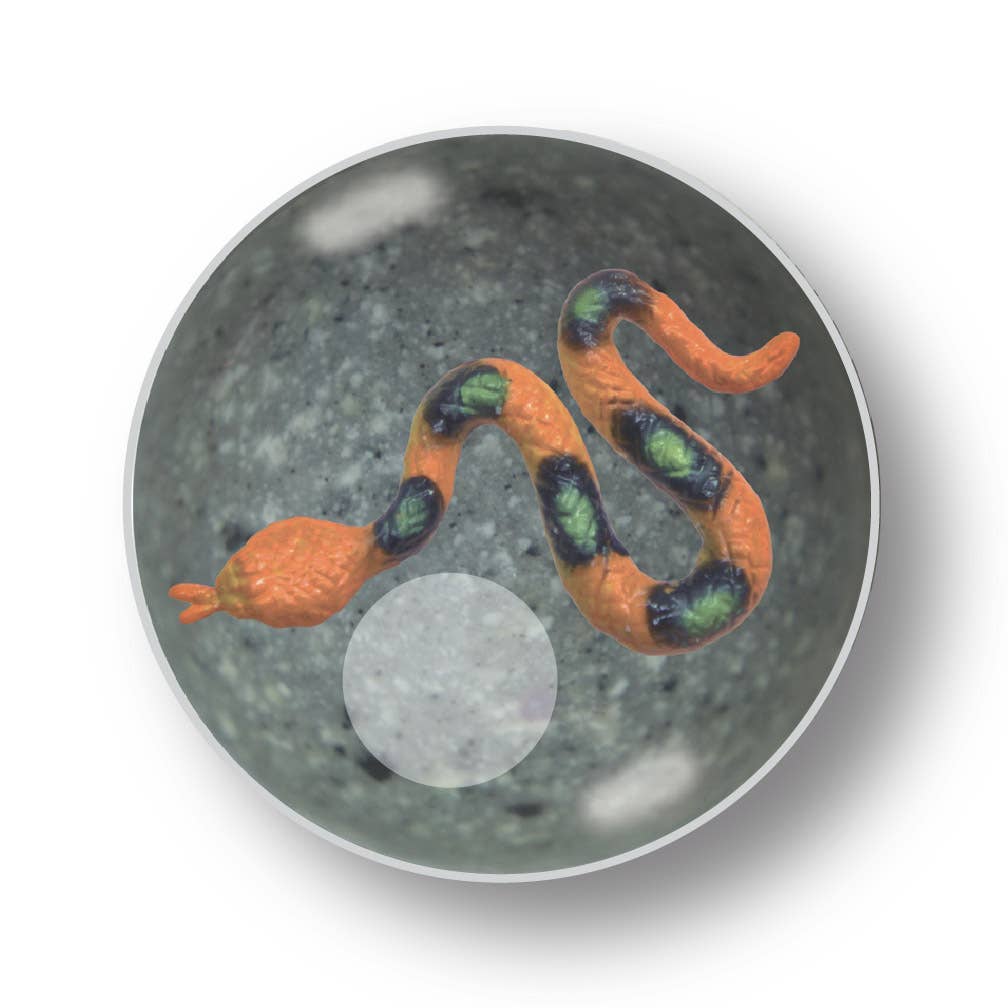 Deluxebase – wholesale Party gift – Mega Bounce - Snake Bouncy Ball3