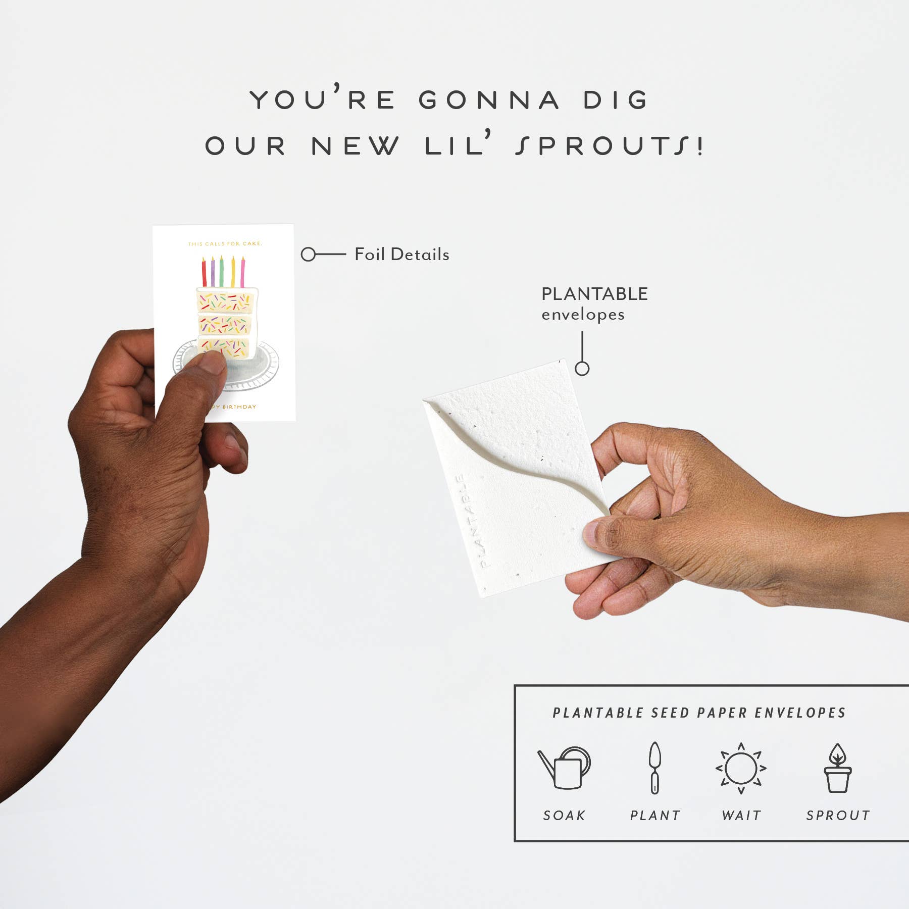 Seedlings - Wholesale Verjaardagskaartje - Verjaardagssnede Spruit - Verjaardagsminiwenskaart3