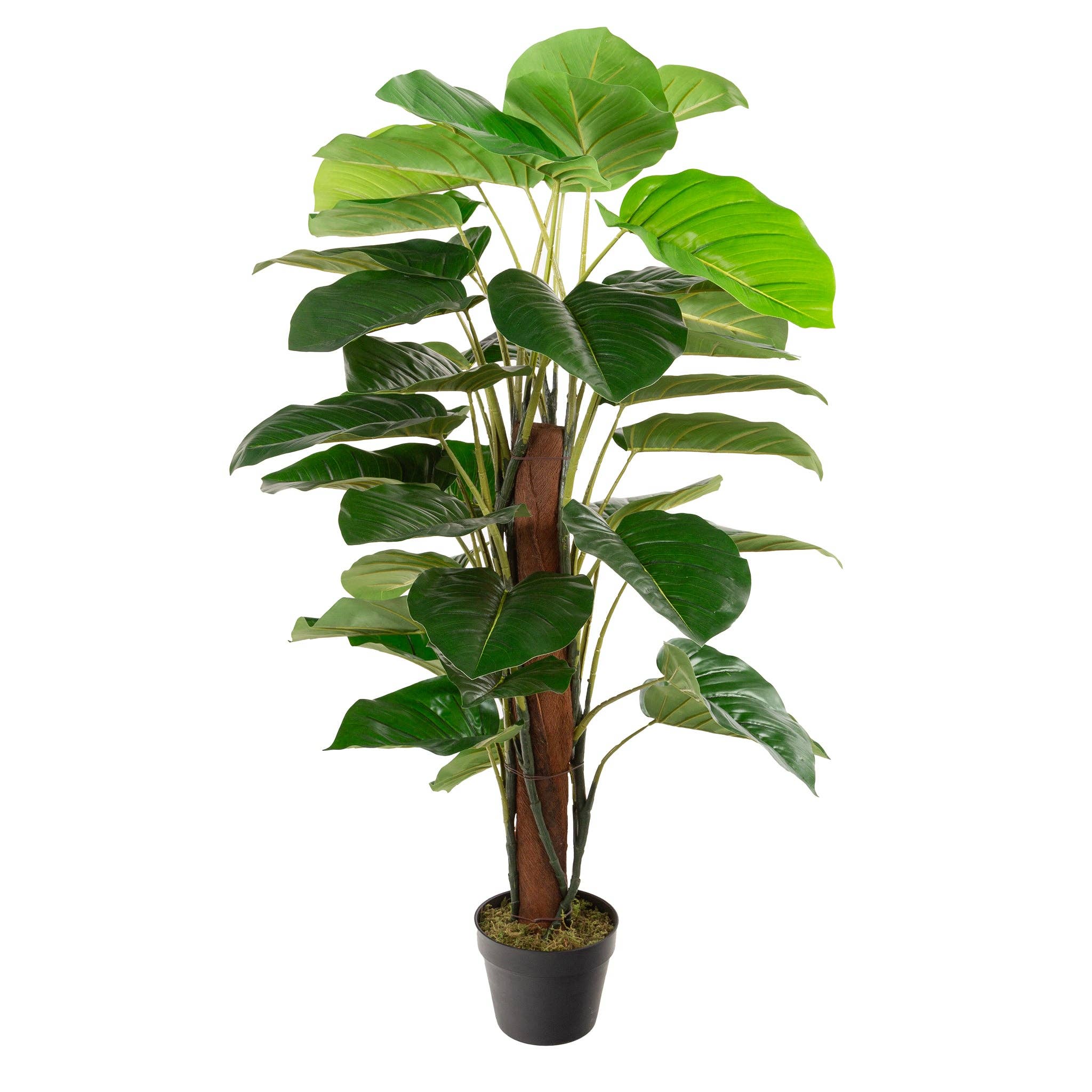 Closer2Nature - Wholesale Artificial Plant - Artificial 4ft Pothos Plant2