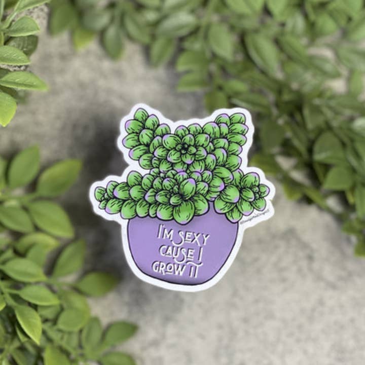 I'm Sexy Cause I Grow It Vinyl Sticker 5-Pack for wholesale by Beautiful Mind Design