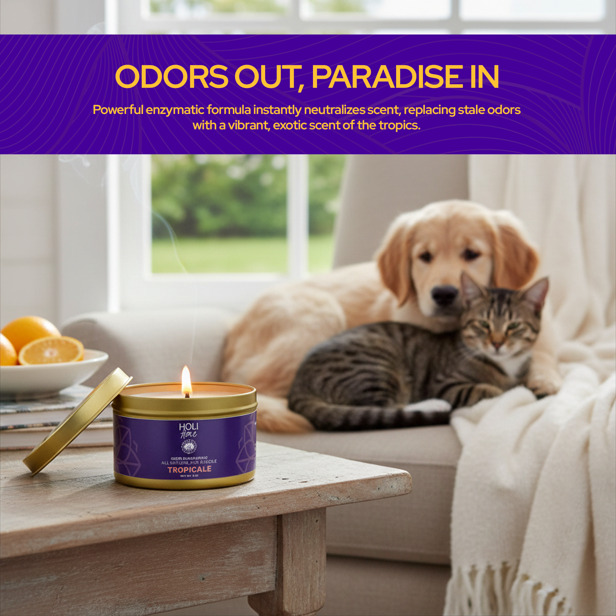 HOLI - Vente Bougie en bocal - HOLI - Bougie en cire de soja 100% naturelle - Éliminateur d'odeurs d'animaux7