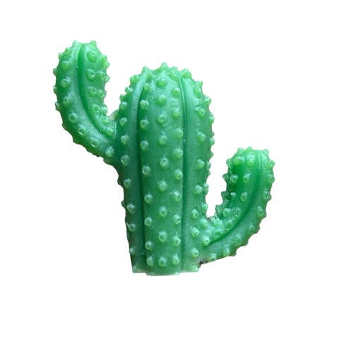Plunk Soap - Wholesale Bar Soap - Cactus Soap | Succulents | Party Favors | Western Theme Gift5
