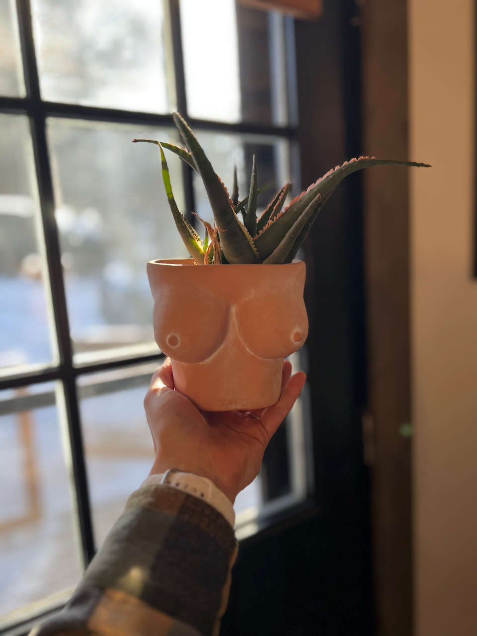 Simply Supplied Co – wholesale Kruka – Boob Kruka | Terrakotta Kruka | Roliga Bröst Kaktus Unik4