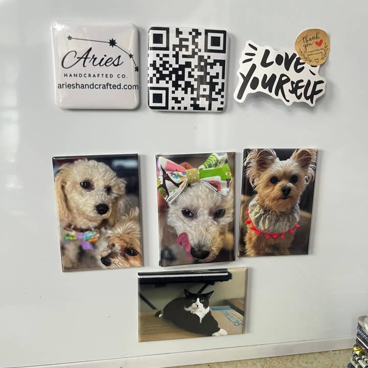 Aries Handcrafted Designs - Wholesale Magnet - Add your photos ~ Rectangle 2"x3" ~10 Custon Photo Magnets