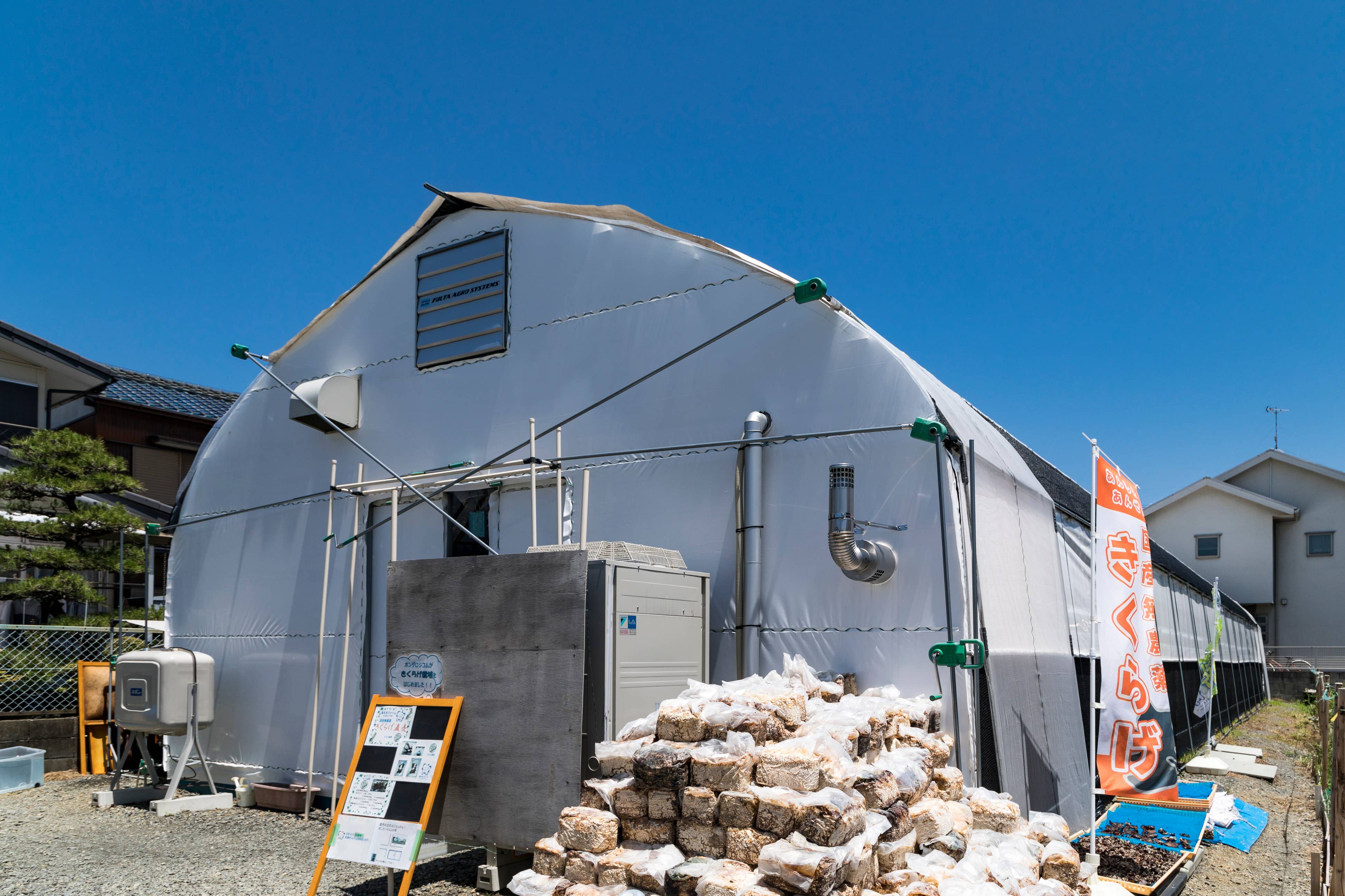 Japan Artisans - Wholesale Dried/dehydrated vegetables - Kasugai-Dried Wood Ear Mushrooms 14g – Organic - Japan2