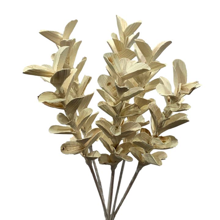 Wilco Home - Vente Fleurs artificielles - Feuillage de gardénia en bois de shola blanchi au soleil à 5 tiges2