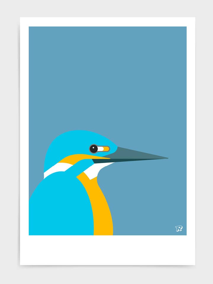 Kingfisher for wholesale by Rocket Jack