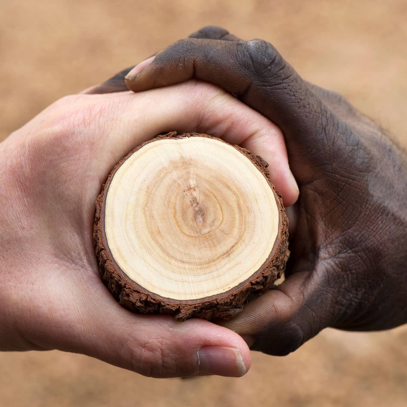 Natural Approach - Wholesale Deodorant - Unisex - Australian Sandalwood - Natural Deodorant6