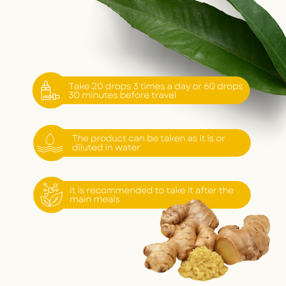 Lemuria – Großhandel Nahrungsergänzungsmittel/Vitamin zum Einnehmen – Total Extract Supplement für die Verdauung - INGWER 30 ml3