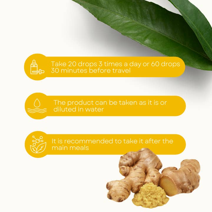 Lemuria - Wholesale Oral Supplement/Vitamin - Total Extract Supplement for Digestion - GINGER 30 ml3