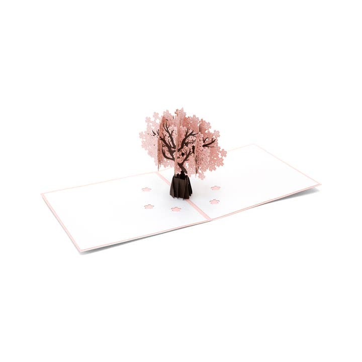 Pink Cherry Blossom -
3D Pop Up Abra Card for wholesale by Abra Cards