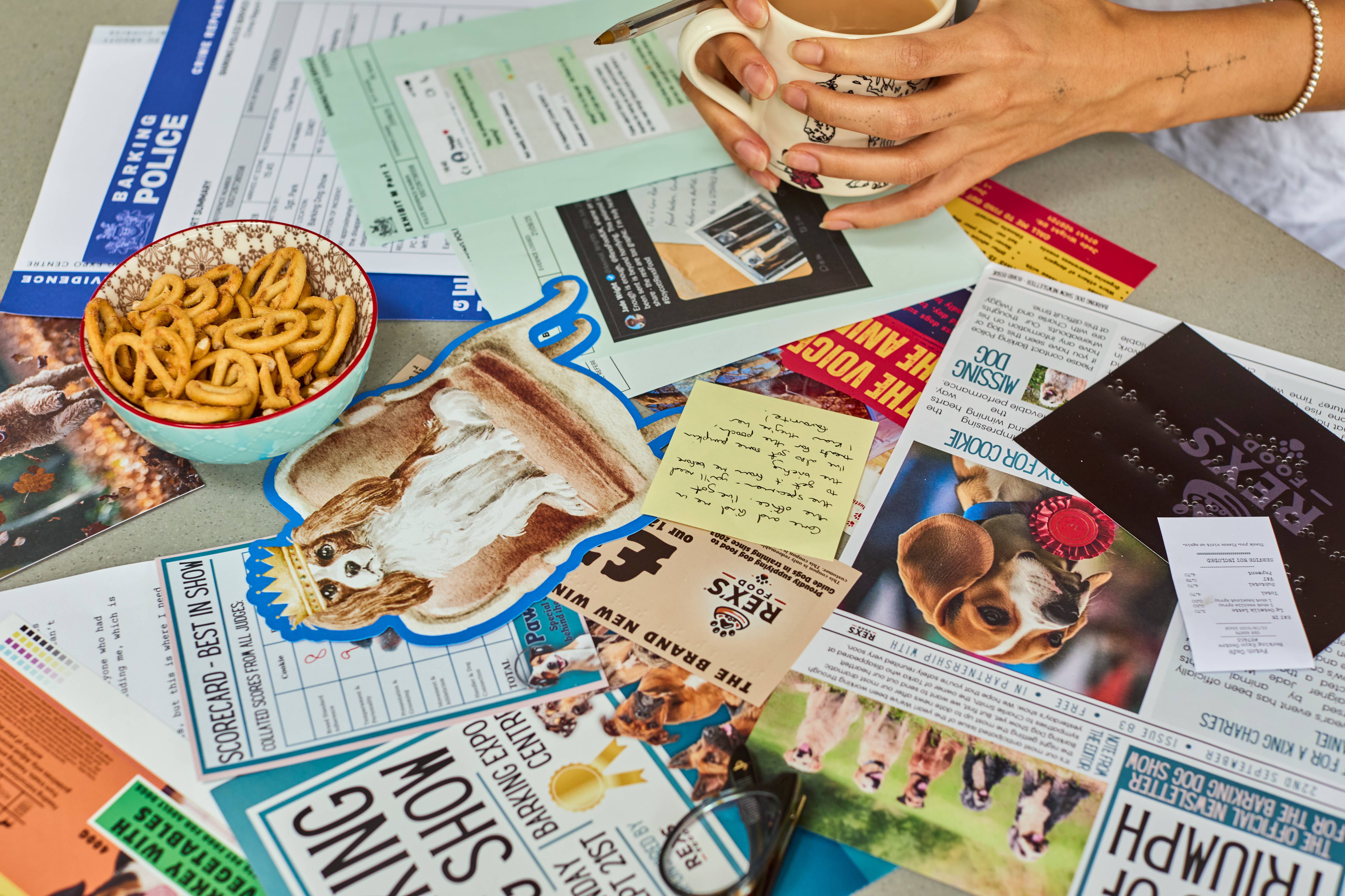 Puzzle Post Games – Jogo de tabuleiro por atacado – NOVA GAMA! Cold Case: Quem Deixou os Cães Sair?7