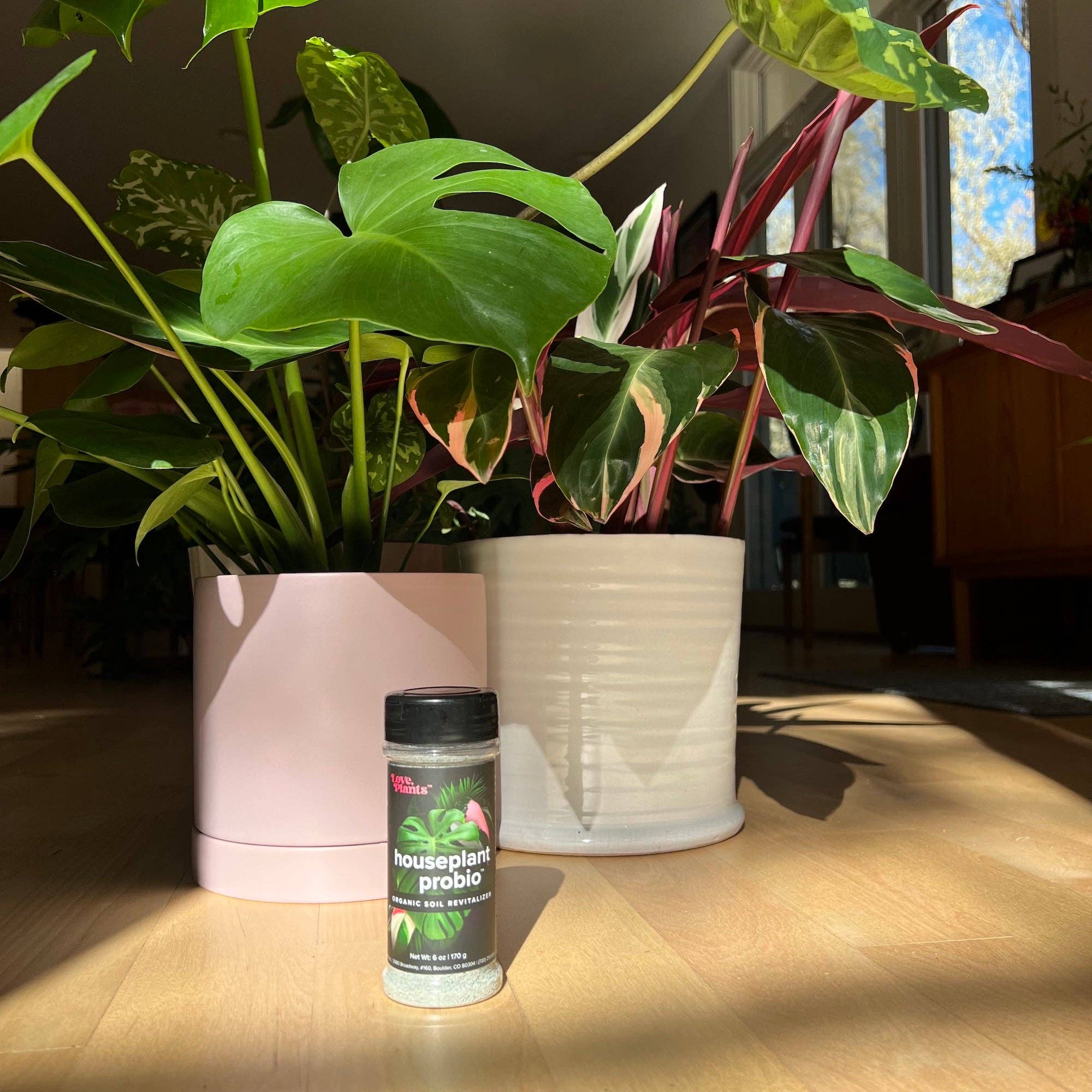 Love, Plants – wholesale Fertiliser – Houseplant Probiotic - Organic Soil Revitalizer 3