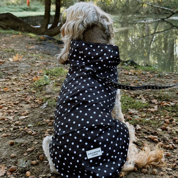 Cocopup London - Wholesale Pet Raincoat - Dog - Dog Raincoat - Black Polka Dot8