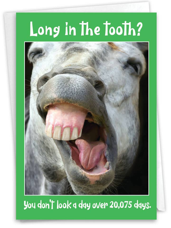 1 Divertente Biglietto di Auguri per il Compleanno - Denti di Cavallo - 55 per la vendita all'ingrosso da parte di NobleWorks