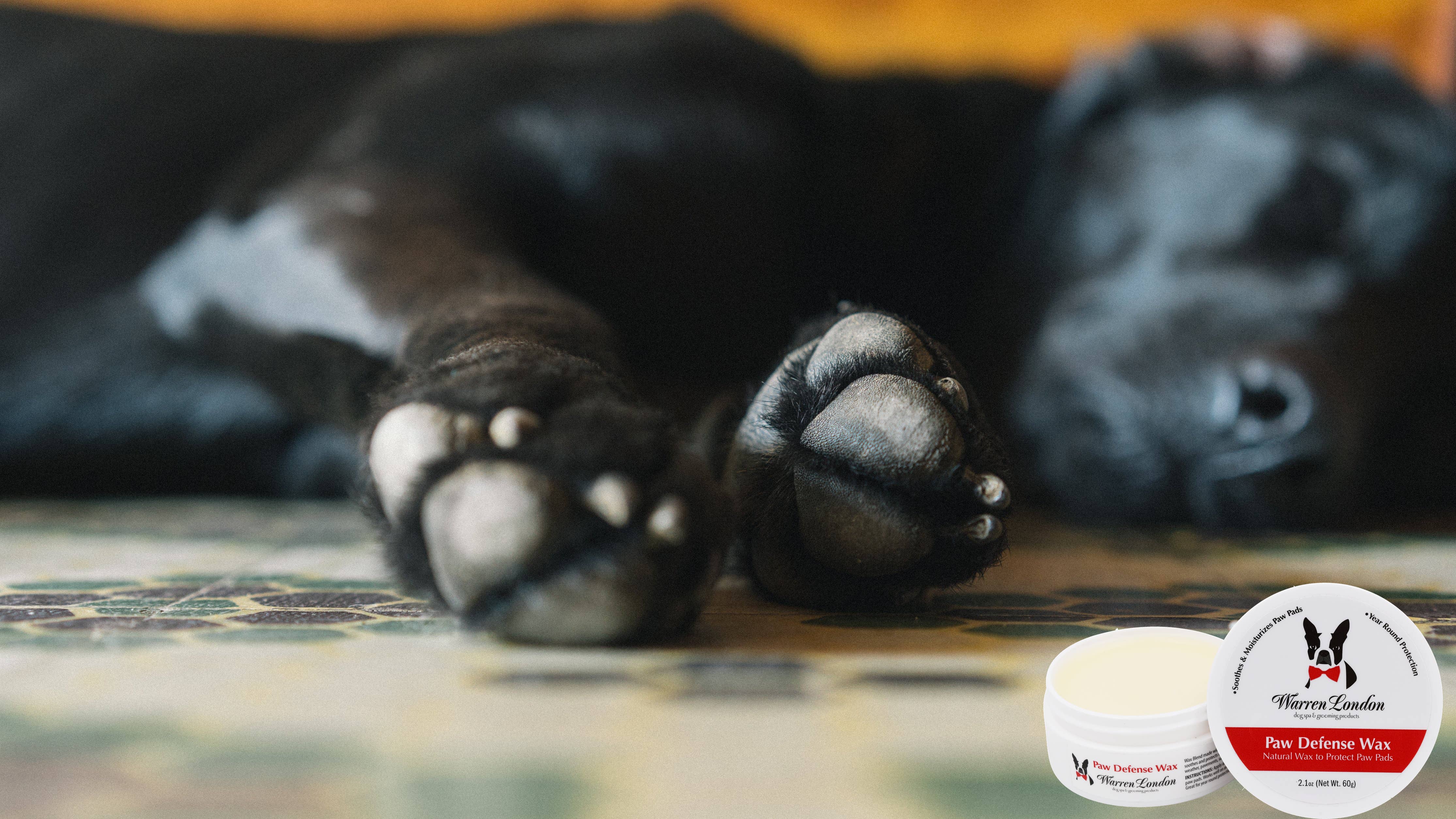Warren London Dog Products - Wholesale Pet Paw Protection - Paw Defense Wax - 2 oz5