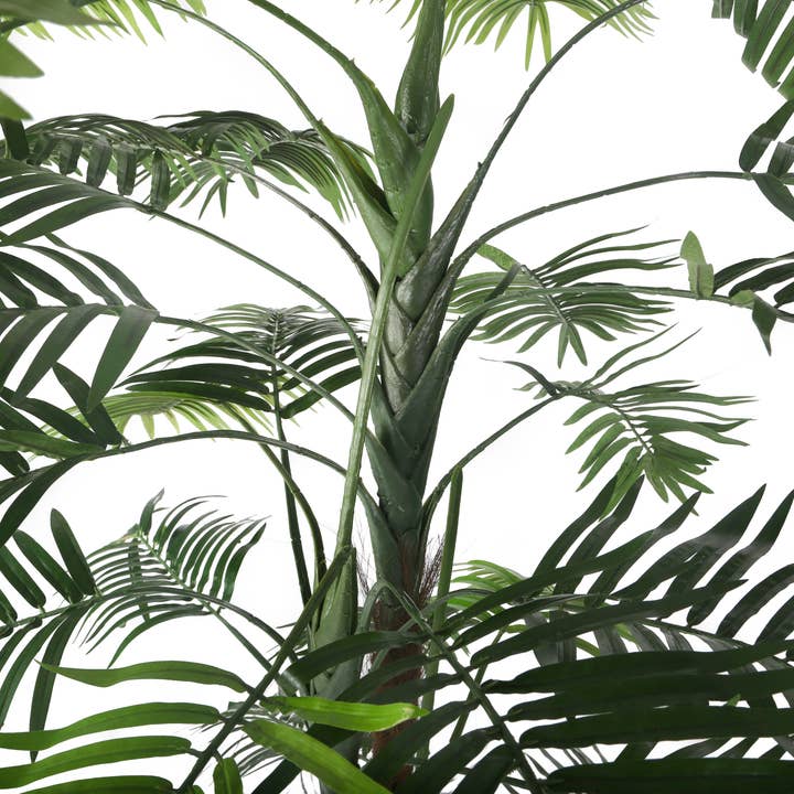 Closer2Nature - Venta al por mayor Plantas artificiales - Palmera Kentia artificial de 5 pies3