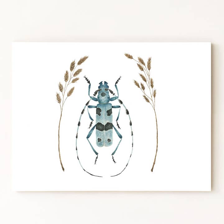 Estampado de escarabajo Alpine Longhorn para venta al por mayor de Jess Vartanian Illustration & Design