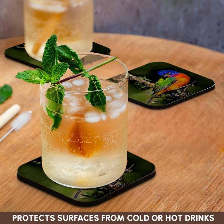 3dRose - Wholesale Coasters - 3dRose, Painted bunting foraging in brush country near the Rio Grande, Texas., Coaster9