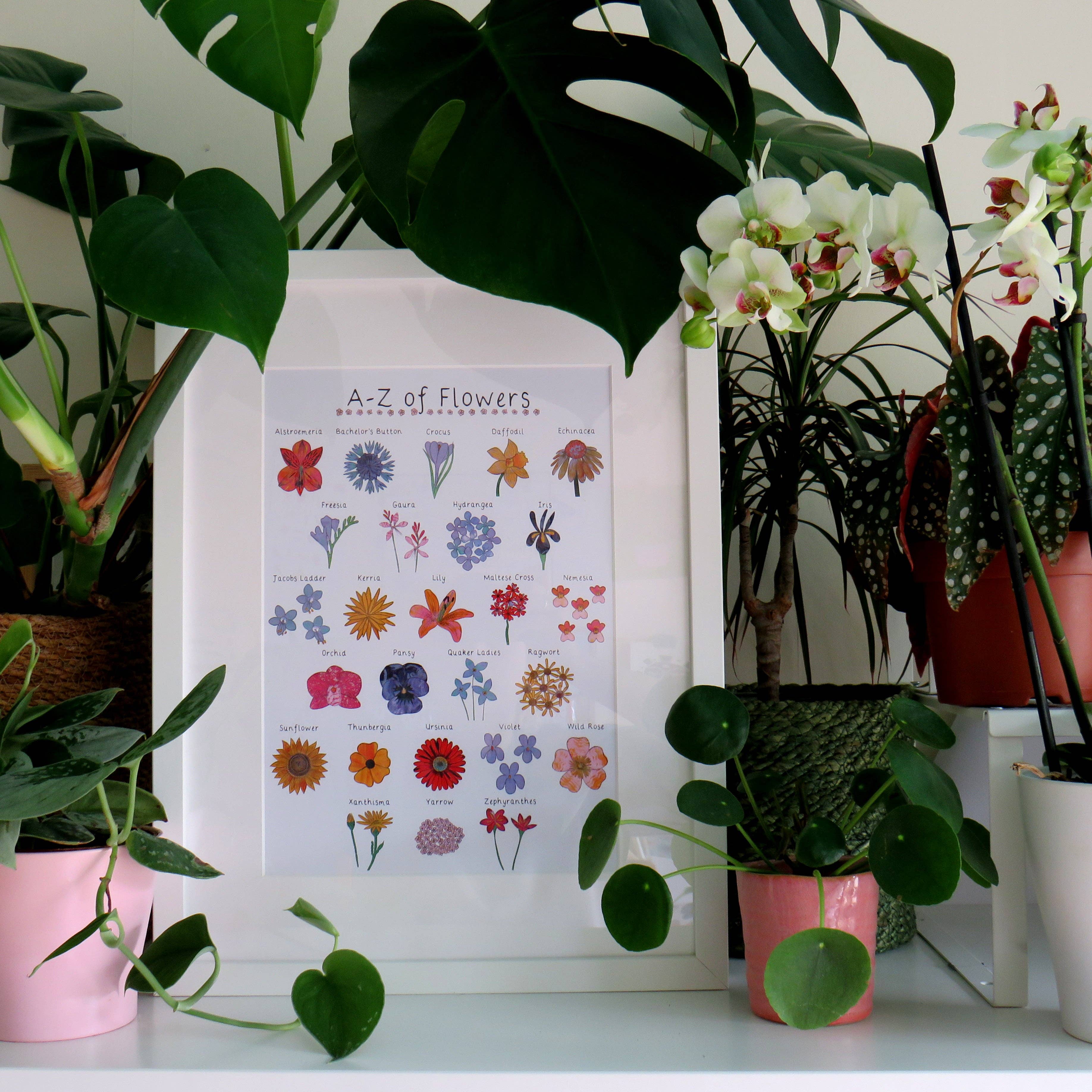 Kathryn Churn Designs – Großhandel Kunstdruck – A-Z des Blumendrucks in A4 und A30